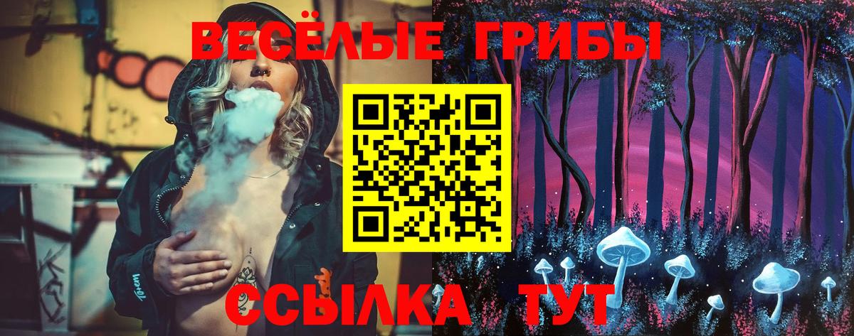 Псилоцибиновые грибы мухоморы Новосибирск